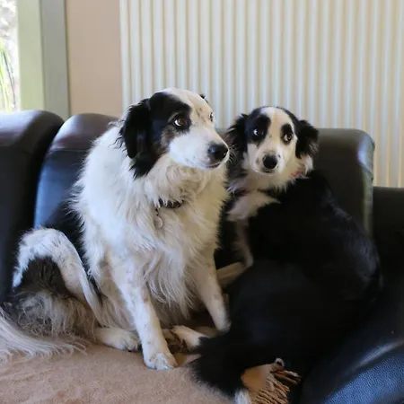 Cote Jardin 民宿 Gesves