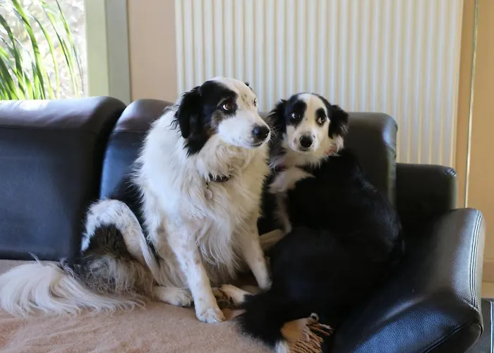 Côté Jardin Alloggio in famiglia Gesves
